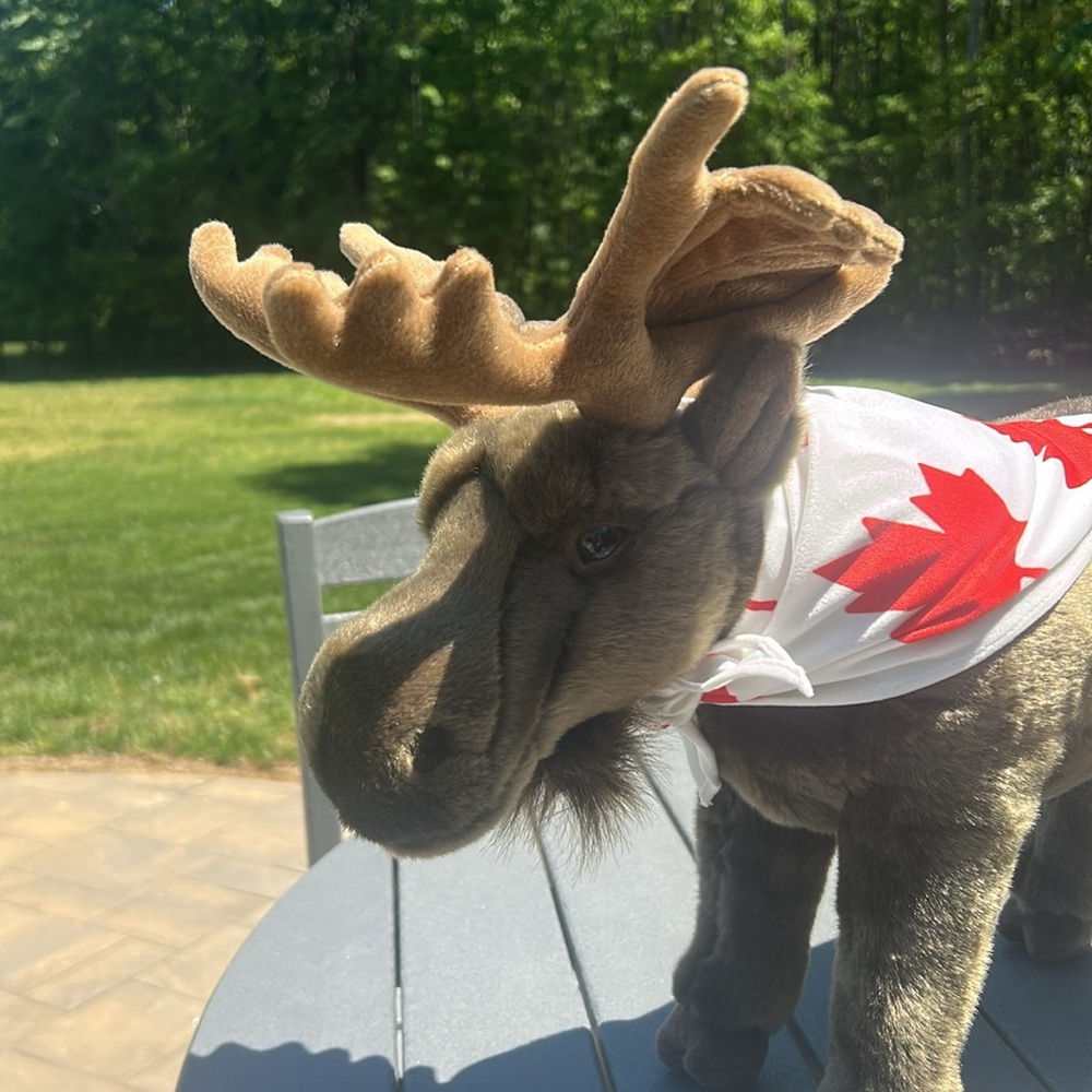 Magnussen Home Okapi 15โ Plush VERY RARE - Picture 4 of 6
